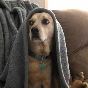 Meet your Posher, Laura